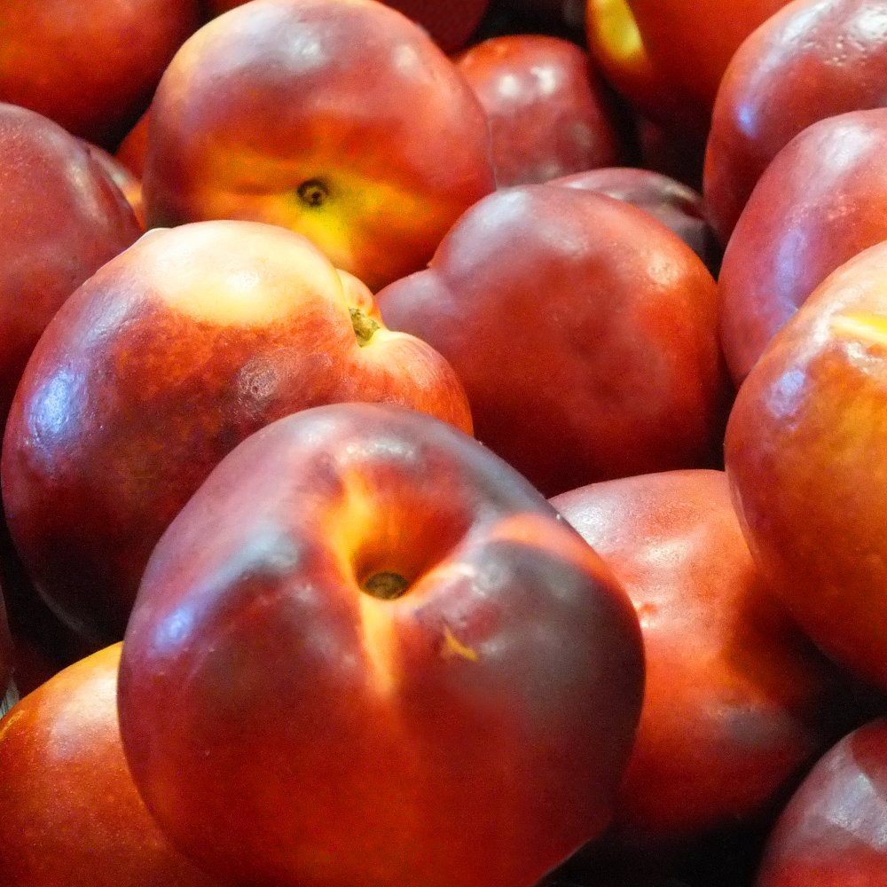 Nectarines-2