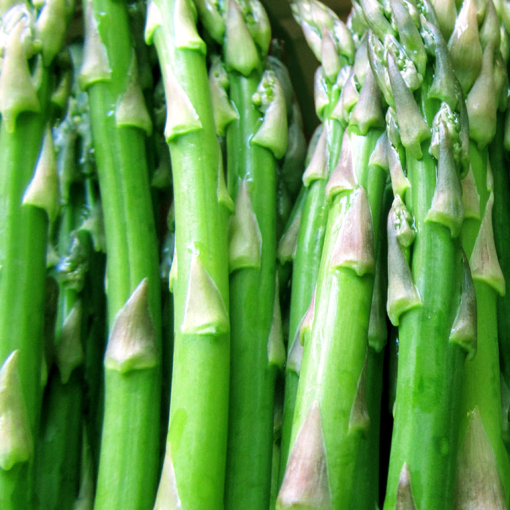 green-bio-asparagus-buds-healthy-low-calories-sodium_1920x1080_99-hd